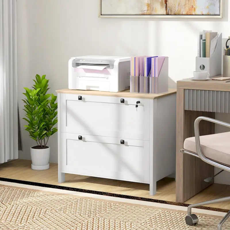 2-Drawer Lateral File Cabinet with Lock for Home Office