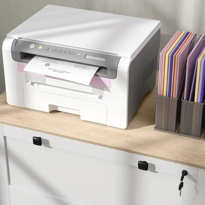 2-Drawer Lateral File Cabinet with Lock for Home Office